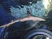 thumbnail133