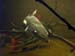 thumbnail28